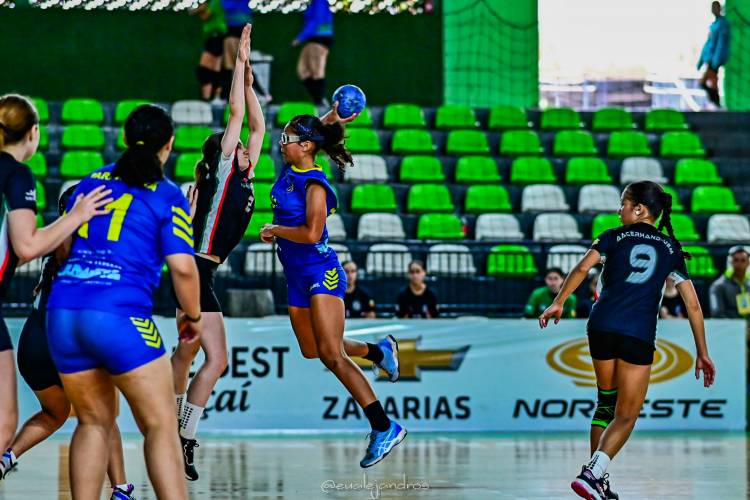 3ª Etapa da Liga Litoral de Handebol agita a Arena Albertina Salmon neste domingo